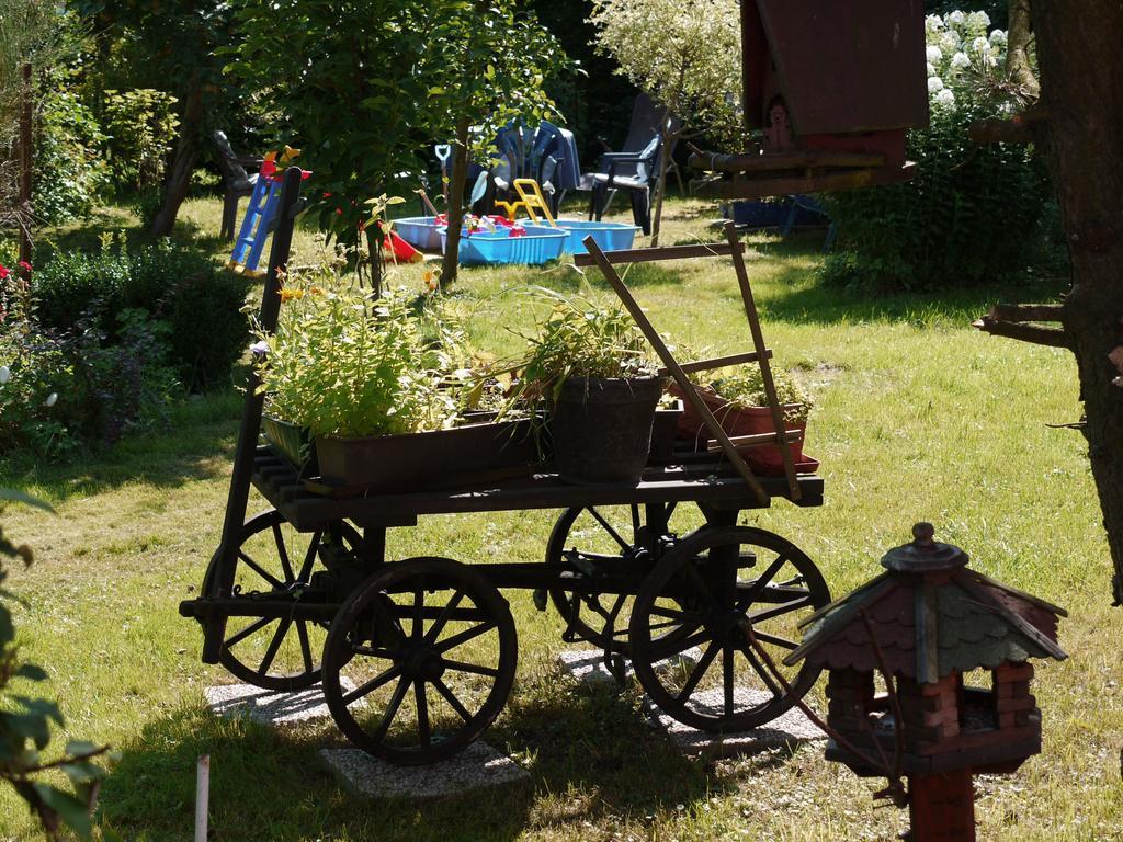 Familien-Ferienwohnung Haustein Konigswalde Zewnętrze zdjęcie
